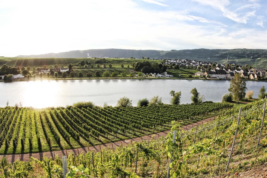 Hotel- Weingut- Moselloreley Piesport Esterno foto