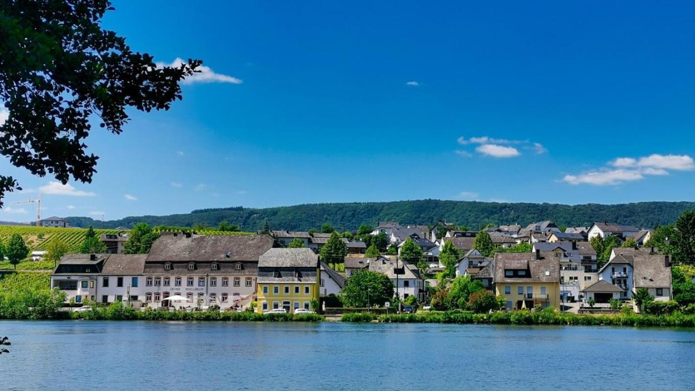 Hotel- Weingut- Moselloreley Piesport Esterno foto