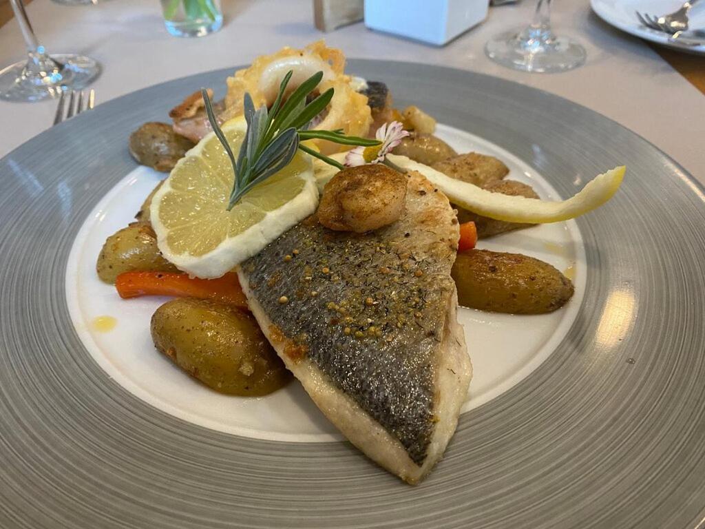 Hotel- Weingut- Moselloreley Piesport Esterno foto
