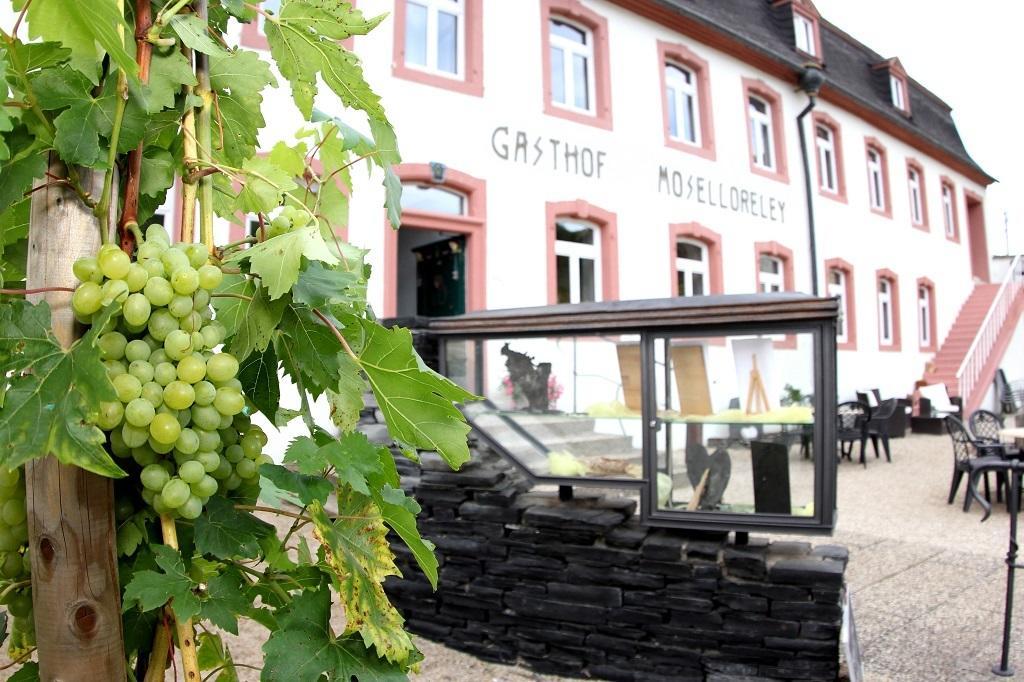 Hotel- Weingut- Moselloreley Piesport Esterno foto