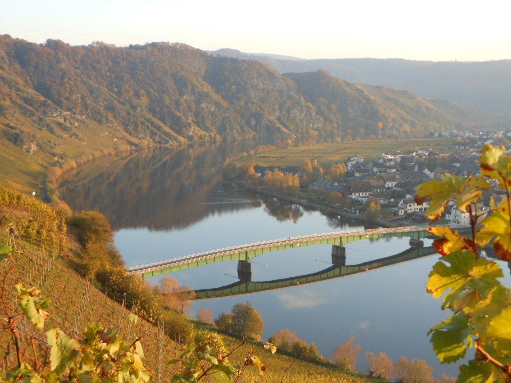 Hotel- Weingut- Moselloreley Piesport Esterno foto